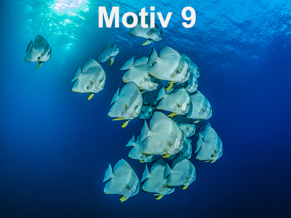 Gutschein Motiv